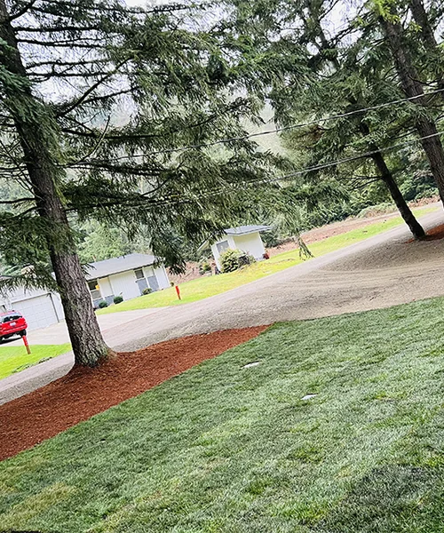 French Drain Services in Gig Harbor 